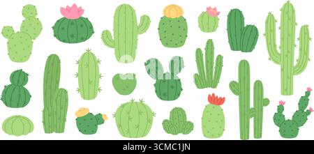 Cactus de dessin animé. Cactus verts fleuris avec des fleurs roses. Succulents doodle set, plantes du désert et fleurs. Éléments naturels isolés, clipart vectoriel racé Illustration de Vecteur