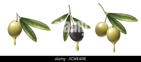 Gouttes d'huile d'olive réalistes avec des branches de feuilles vertes pour les dessins culinaires - olives dorées et noires dégouttant de l'extrait naturel. Fruits méditerranéens frais brillants pour emballage alimentaire ou produit biologique. Illustration de Vecteur
