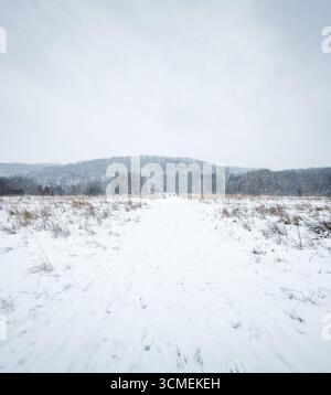 Route enneigée dans un champ. Image grand angle d'une route à travers une campagne hivernale sur une journée nuageuse pendant les chutes de neige. Banque D'Images