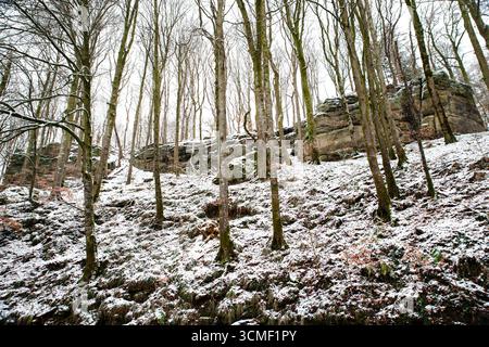 Forêt à la cascade de Scheissendempel couverte de neige, Mullerthal Trail à Waldbillig, Luxembourg en hiver Banque D'Images