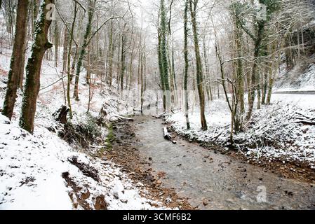 Forêt avec ruisseau noir Ernz à la cascade de Scheissendempel couverte de neige, Mullerthal Trail à Waldbillig, Luxembourg en hiver Banque D'Images