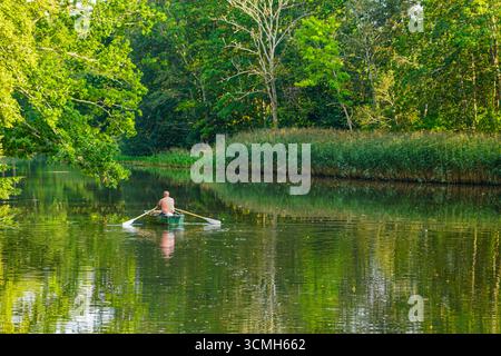 Un homme rame un bateau sur une rivière forestière calme entourée de verdure luxuriante, de roseaux et de reflets d'arbres dans la lumière de l'été, la nature lettone, l'Europe Banque D'Images
