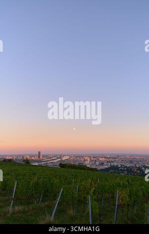 Vue panoramique verticale depuis les collines du vignoble avec Vienne baignée par la lumière du coucher du soleil, le ciel brillant et la lune se levant au-dessus de l'horizon de la ville. Banque D'Images