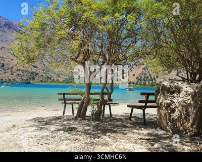 Une scène tranquille avec des bancs vides sous un arbre surplombant les eaux turquoises du lac Kournas, Crète, Grèce Banque D'Images