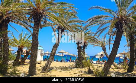 Une vue à travers la célèbre forêt de palmiers sur la plage animée de Vai avec sa mer turquoise et ses parasols de chaume en Crète, Grèce Banque D'Images