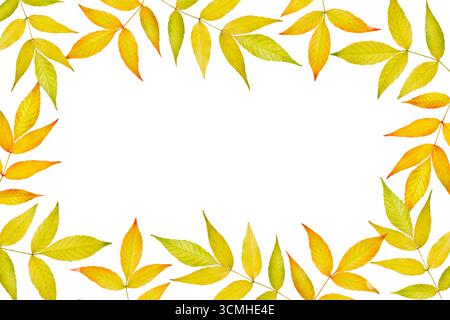 Cadre de feuilles d'automne isolé sur fond blanc. Élément de conception pour la création de compositions d'automne, cadres, collages, invitations, réductions, ventes. Banque D'Images