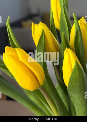 tulipes jaunes gros plan dans un vase sur une table Banque D'Images
