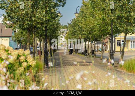 Rue piétonne et avenue bordée d'arbres avec jeune couple marchant avec poussette et parterres de fleurs à Ukmerge Banque D'Images