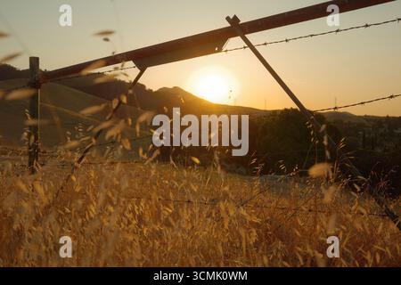 Coucher de soleil doré sur les collines d'Antioch, Californie, avec une clôture rustique et des barbelés au premier plan. Prise près de Contra Loma et East Bay Banque D'Images