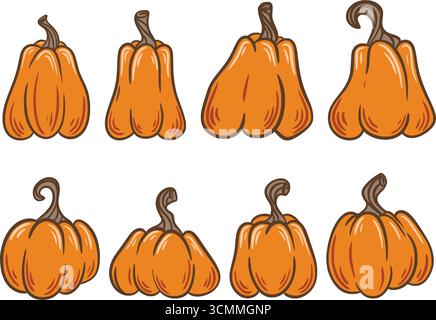 Ensemble de citrouilles mûres, illustration colorée de style croquis de doodle. Récolte de légumes d'automne. Produits écologiques agricoles, citrouilles orange vif de différentes shap Illustration de Vecteur