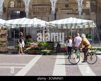 Cremona, Italie - 3 septembre 2025 dynamique marché de rue d'été à Cremona Italie avec des stands de fleurs et des gens appréciant l'atmosphère animée Banque D'Images