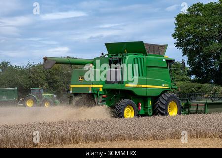 Récolte de blé Wickham Market Suffolk UK Banque D'Images