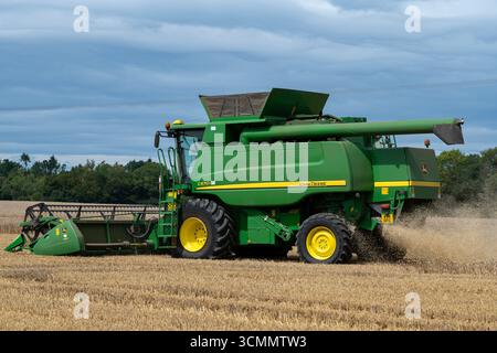 Récolte de blé Wickham Market Suffolk UK Banque D'Images