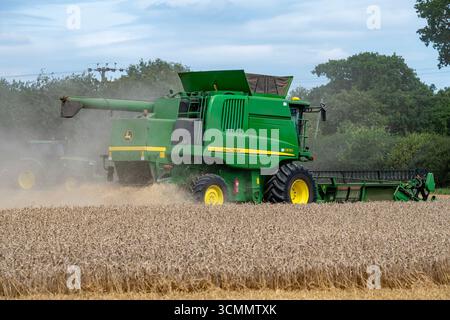 Récolte de blé Wickham Market Suffolk UK Banque D'Images