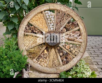 Hôtel à insectes dans une vieille roue de wagon, gros plan dans une allée avec des plantes Banque D'Images