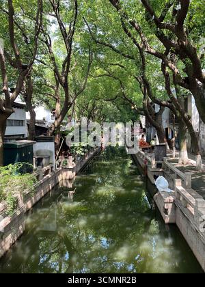 Canal bordé d'arbres avec des reflets dans une ville d'eau chinoise traditionnelle près de Shanghai, Chine. Banque D'Images