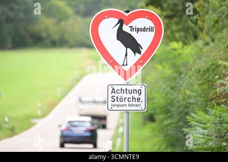 Cleebronn, Allemagne. 17 septembre 2025. Un panneau de signalisation dans un zoo indique que des cigognes volent à basse altitude sur une route. Crédit : Bernd Weißbrod/dpa/Alamy Live News Banque D'Images