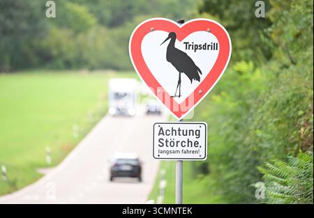 Cleebronn, Allemagne. 17 septembre 2025. Un panneau de signalisation dans un zoo indique que des cigognes volent à basse altitude sur une route. Crédit : Bernd Weißbrod/dpa/Alamy Live News Banque D'Images
