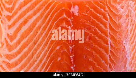 Voici un gros plan détaillé d'un succulent morceau de saumon, montrant clairement la texture unique et complexe de la viande qu'il contient Banque D'Images
