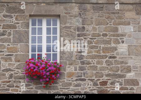 Fenêtre blanche à meneaux dans une maison historique, décoration florale, vieille ville de Guingamp, Département côtes-d'Armor, Bretagne, France Banque D'Images