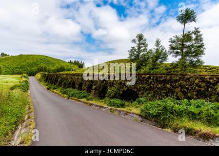 Une route pittoresque serpente à travers le paysage verdoyant et luxuriant de Sao Miguel, aux Açores, sous un ciel lumineux et nuageux. Banque D'Images