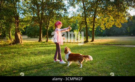Fille jetant bâton pour chien dans la prairie verte au coucher du soleil Banque D'Images