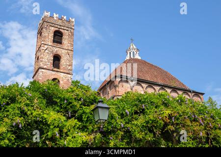 Vieux bâtiments et un clocher, avec des liens vers le Duomo di San Martino, à Lucques, Italie. Photographié depuis la Piazza Antelminelli. Banque D'Images