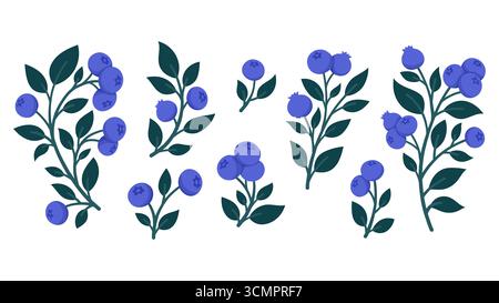 Ensemble de branches de myrtille dessinées à la main avec des baies mûres et des feuilles. Illustrations botaniques mignonnes pour emballage, décoration de cuisine, autocollants, étiquettes, logos Illustration de Vecteur