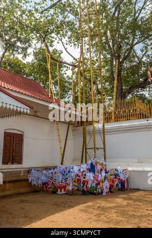Sri Lanka - Anuradhapura - Jaya Sri Maha Bodhi - arbre sacré enveloppé de drapeaux de prière Banque D'Images