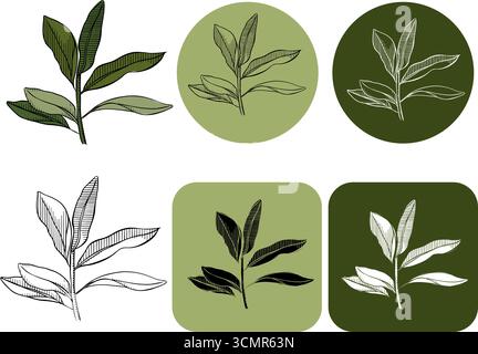 branche avec logotype feuilles vertes. Illustration vectorielle en couleur à l'encre de la ligne graphique. Convient pour invitation de mariage, enregistrer la date, merci, ou greetin Illustration de Vecteur