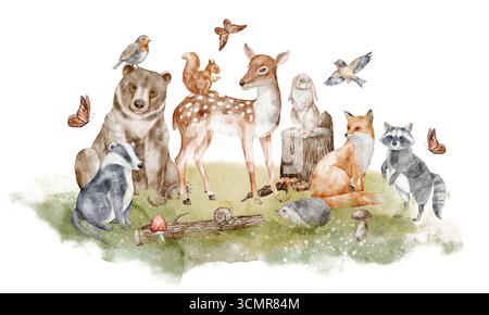Illustration aquarelle d'animaux des bois, y compris ours, renard, raton laveur, lièvre, blaireau, écureuil, hérisson et oiseaux. Dessin de conception de forêt d'automne pour affiche, invitations de douche de bébé et salutations Banque D'Images