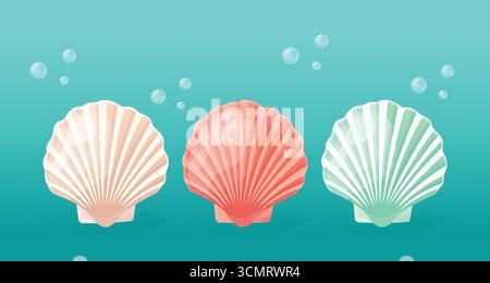 Illustration vectorielle de coquilles de mer isolée sur fond bleu. Illustration de Vecteur