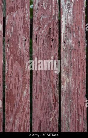 Gros plan de planches en bois altérées peintes de vieux fond de clôture Banque D'Images