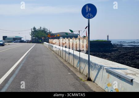 Des rangées de calmars fraîchement nettoyés pendent pour sécher sur des cordes à côté de la route côtière près du port de Namwon, avec un panneau de chemin partagé et un petit phare visible BE Banque D'Images