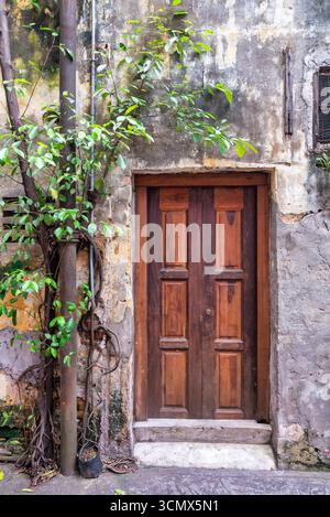 Porte en bois rustique dans un mur altéré et fissuré avec feuillage vert et racines exposées. Un tuyau rouillé court verticalement. Texture de pourriture urbaine Banque D'Images