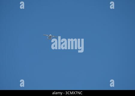 Court SC-7 Skyvan 3-100 dans un ciel bleu clair ascendant pour un parachute d'équipe Banque D'Images