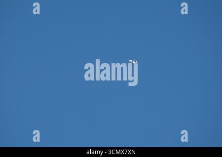 Court SC-7 Skyvan 3-100 dans un ciel bleu clair ascendant pour un parachute d'équipe Banque D'Images