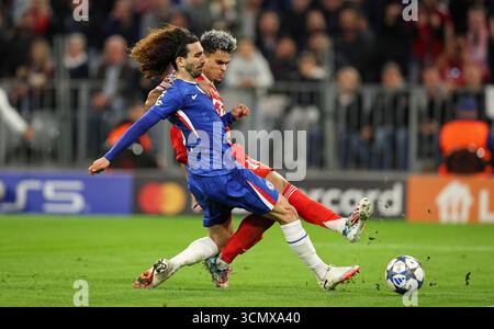 MUNICH, ALLEMAGNE - 17 SEPTEMBRE : Luis Diaz du Bayern Muenchen affronte Marc Cucurella du FC Chelsea lors du match MD1 de l'UEFA Champions League 2025/26 entre le FC Bayern München et le Chelsea FC au Football Arena Munich le 17 septembre 2025 à Munich, Allemagne. © diebilderwelt / Alamy Stock Banque D'Images