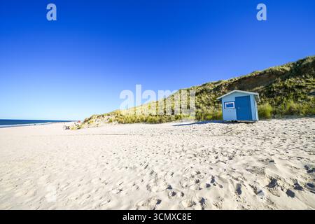 Paysage sur la plage entre Wenningstedt et Kampen sur l'île frisonne de Sylt. Vue sur la mer du Nord et la nature environnante. Banque D'Images