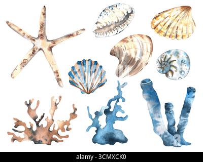 Un ensemble d'objets aquarelles sur le thème marin. Coraux, coquillages, algues et étoile de mer. Dessiné à la main sur un fond blanc dans des tons de bleu. Isolé Banque D'Images