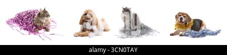 Chiens mignons et chat avec des guirlandes lumineuses sur fond blanc, collage Banque D'Images