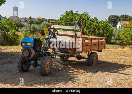 Un petit tracteur vintage avec une remorque en bois est garé dans un champ rural, entouré d'arbustes verts et d'arbres par une journée chaude et ensoleillée Banque D'Images