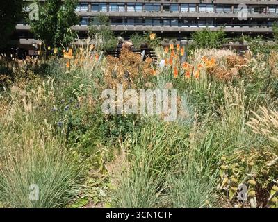 Le Barbican Centre, Londres à l'intérieur et à l'extérieur avec la faune et les lacs artificiels Banque D'Images