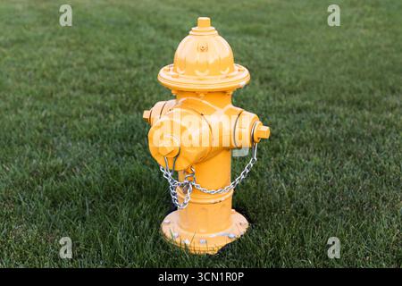Bouche d'incendie jaune debout sur l'herbe verte. Équipement de sécurité extérieur en gros plan. Fond de source d'eau de protection d'urgence. Infrastructures urbaines. Banque D'Images