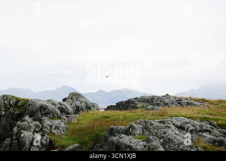 Nature islandaise avec des rochers accidentés, une végétation luxuriante et un cadre montagneux tranquille. Banque D'Images