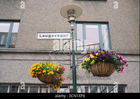 Pots de fleurs suspendus dans la rue Laugavegur, à Reykjavik, Islande Banque D'Images