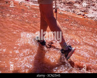 Randonneur marchant dans l'eau, Professor Creek Canyon, Moab, Utah. Banque D'Images