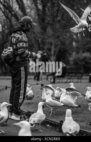 L'Irlande, connue sous le nom d'île d'émeraude, est célèbre pour ses paysages verdoyants, ses côtes accidentées et ses charmants villages. Riche en histoire et culture. Banque D'Images