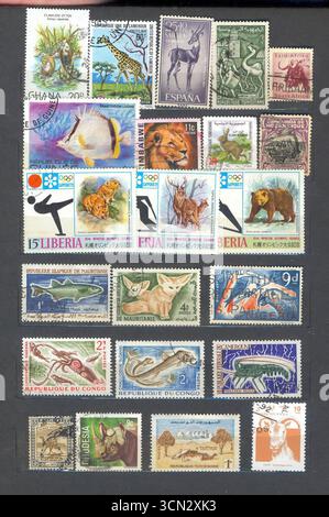 Lviv, Ukraine, 20 janvier 2014 Un groupe coloré de timbres-poste commémoratifs utilisés mettant en vedette différents animaux du monde entier, idéal pour co Banque D'Images