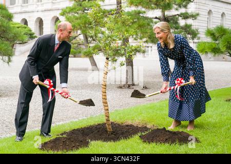Le duc et la duchesse d'Édimbourg plantent un jeune arbre de chêne prélevé sur l'arbre planté par la reine Élisabeth II lors de la visite d'État en 1975, pour symboliser la relation étroite entre la Maison royale et la Maison impériale à la résidence Akasaka à Tokyo, le premier jour de leur visite au Japon. Date de la photo : vendredi 19 septembre 2025. Banque D'Images